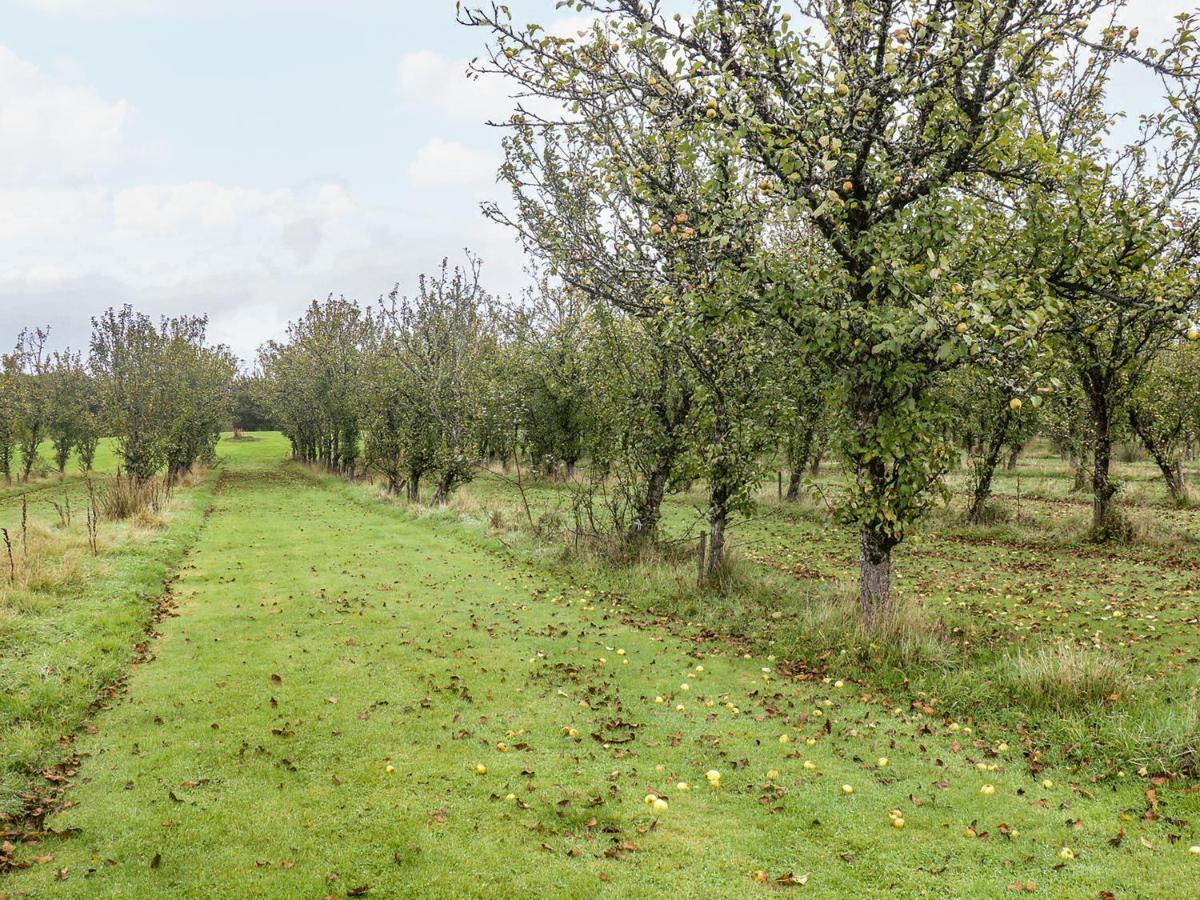 Braeburn Lodge Winkleigh Екстер'єр фото